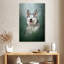 Husky sur l'herbe