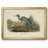 " Audubons Blue Heron " Print-95887276-95887273