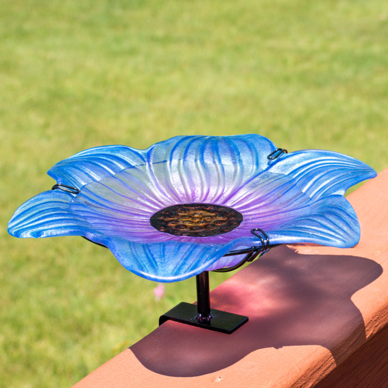 Bol pour bain d'oiseaux en verre Bayview