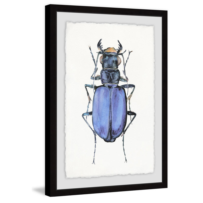 Violet Beetle - reproduction d'art encadrée, H 18 po x l 12 po