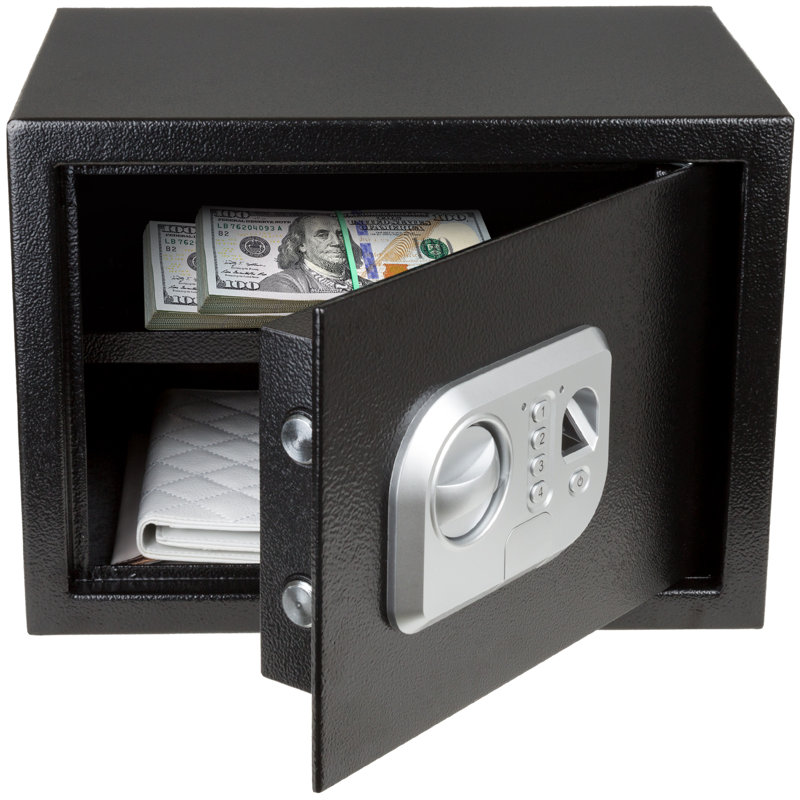 Stalwart Electronic Safe - Digital Biometric Fingerprint Lock Box with 2 Override Keys (Black)