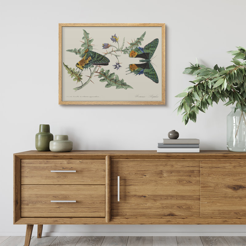 Art mural rustique vert sur des branches, Naturel, H 12 po x l 16 po