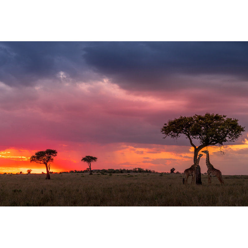 Sunset To Die For! - Wrapped Canvas Print, 81cm H x 122cm W x 3.8cm D
