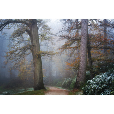 Peaceful Path