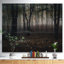 «Dark Spooky Misty Wild Forest», reproduction de photo-35062282-35062296