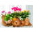 Euva Indoor/Outdoor Clay Statue Planter