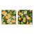 Toile tendue