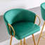 Chaise de salle à manger Rikiya-1511665810