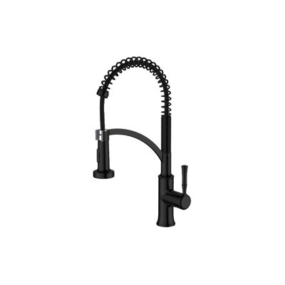 AGUA CANADA Magico Pull Down Kitchen Faucet