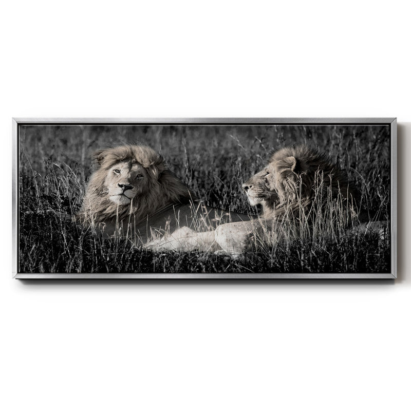 Mara Lions- Framed Canvas, 12" H x 30" W