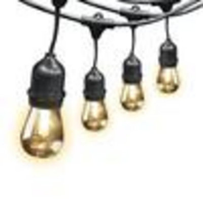 Outdoor 12 - Bulb 240'' Plug-in LED String Light
