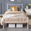 Delaenie Metal Platform Bed-534920299-534920295