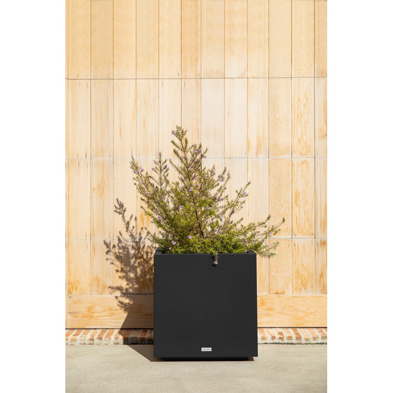 Block Series Cube Planter, Black, 22.25" H x 21" W x 21" D