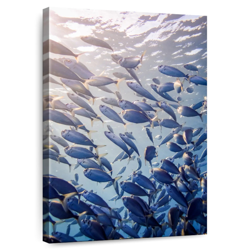 Brampt Curacao Fish, 24" H x 16" W