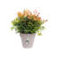 Pot Planter-37904909-127113574