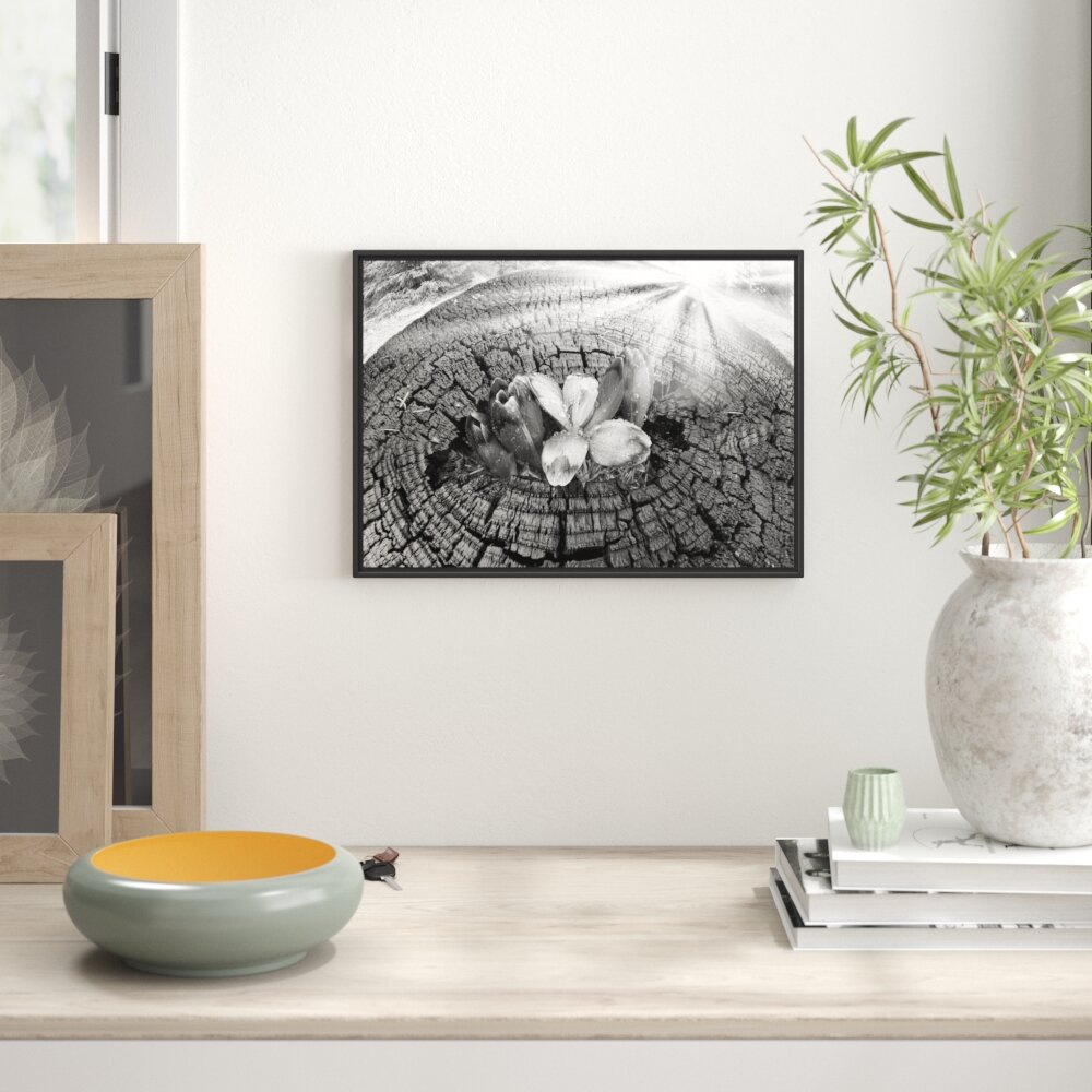 Gerahmtes Wandbild Die Kraft der Natur Kunst B&W