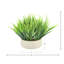 Arrangement d'herbe dans un pot en fibre de pierre
