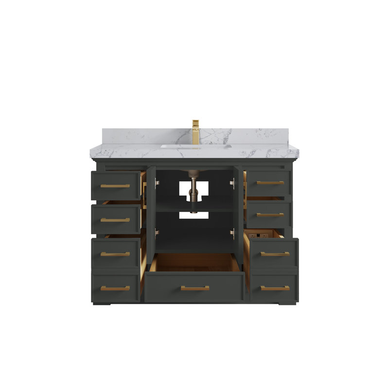 Charlotte 48'' Single Bathroom Vanity with Top, Venatino