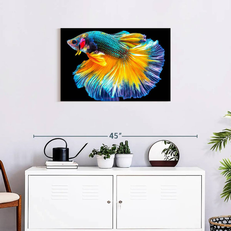 Brampt Multicolored Betta Fish, 8'' H x 12'' W