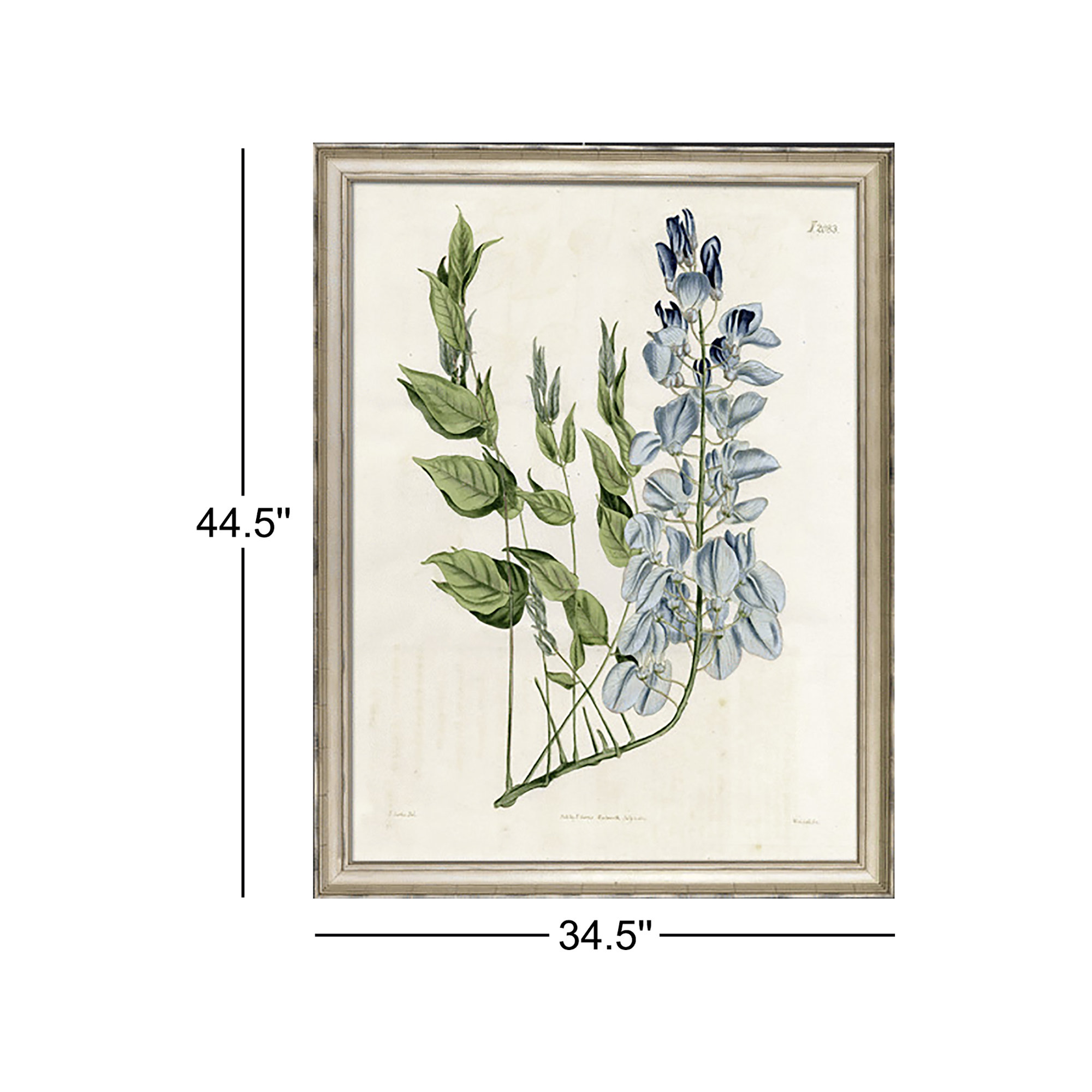 Large Blue Botanical II