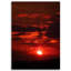 Red Sunset - Wrapped Canvas Print-697758988