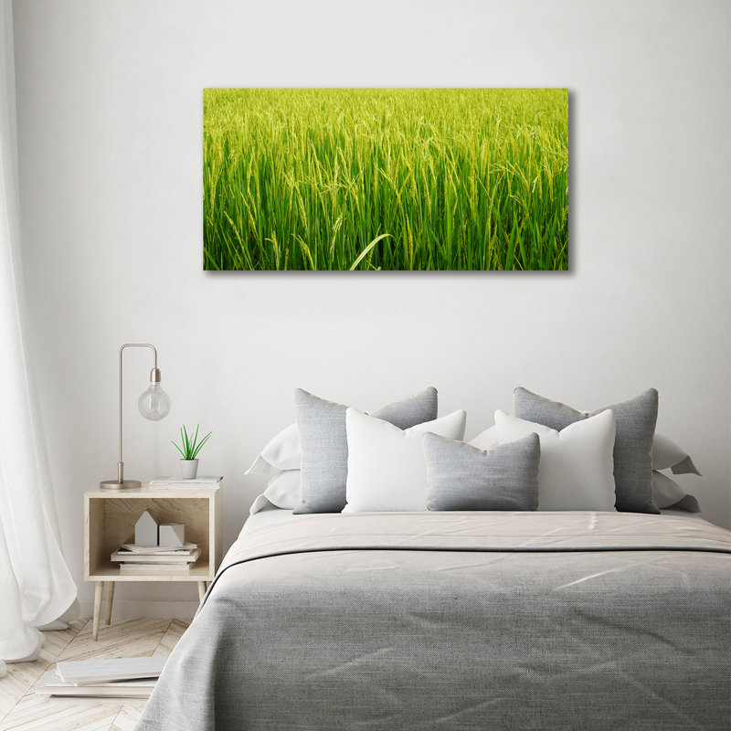 Rice Field - Wrapped Canvas Print, Canvas, 70cm H x 140cm W