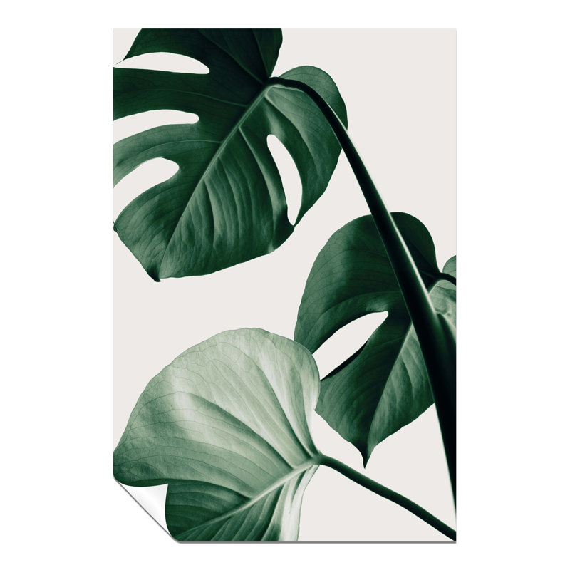 Green Monstera Plant Leaves - No Frame Print, 31cm H x 20cm W x 1cm D