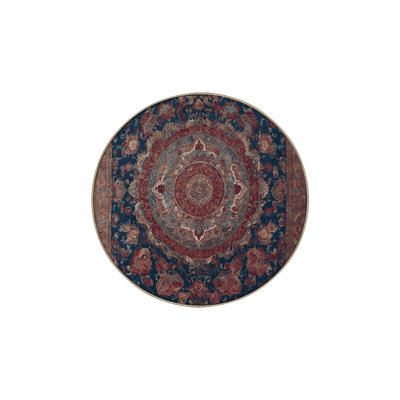 Machine Washable Brown Area Rug