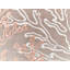 Catrine Animal Print Beige Square Cushion