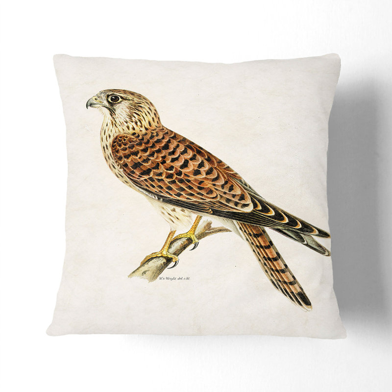 A Common Kestrel Square Throw Cushion, Stone, 55 x 55 cm