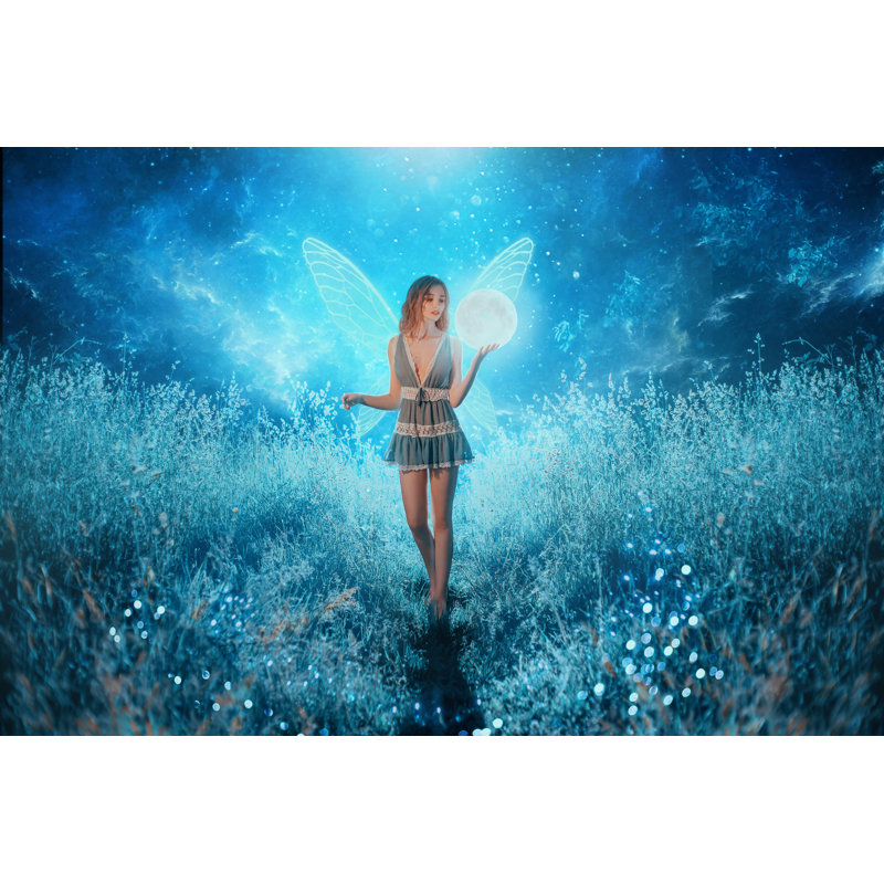 Fairy Tale - Wrapped Canvas Print, 30cm H x 46cm W x 3.8cm D