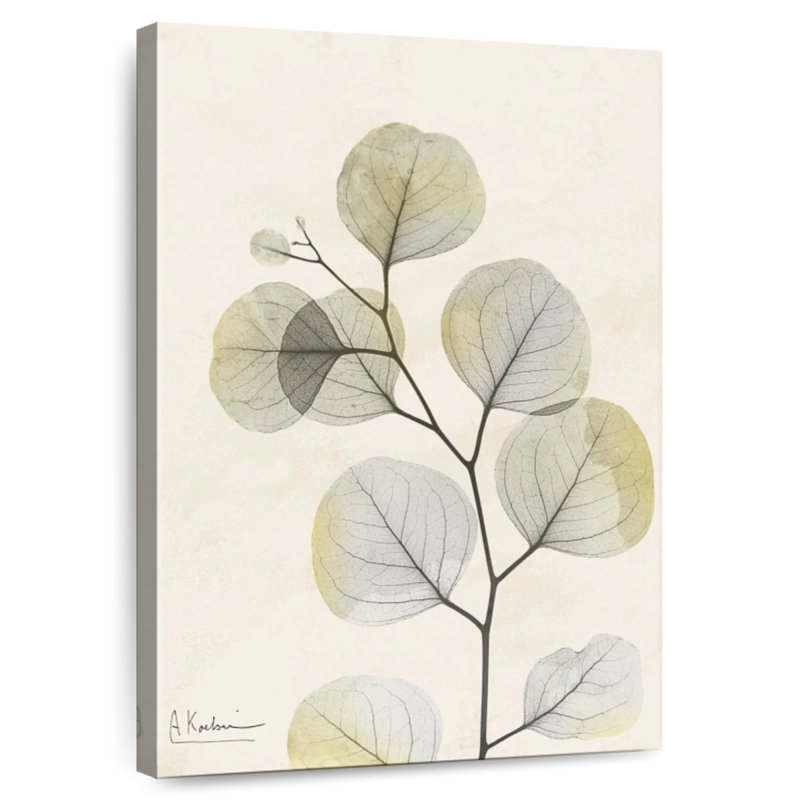 Harnek Sunkissed Eucalyptus III, 12" H x 8" W