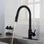 Robinet de cuisine avec douchette extractible -116244513