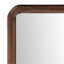 Vanessa Mirror Brown Large