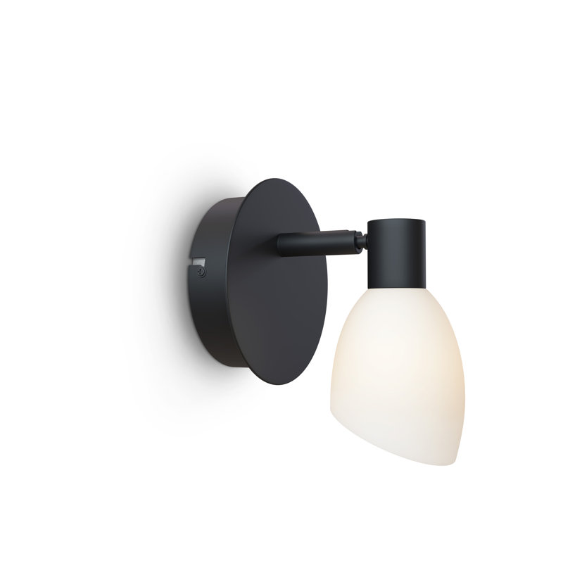 Plug-in Spotlight