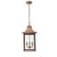 Dillion 3 - Light Outdoor Hanging Lantern-24023323