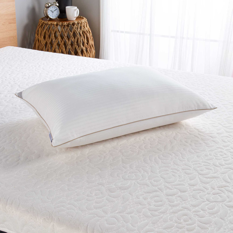 Indulgence Down Alternative Bed Pillow, 20" x 28"