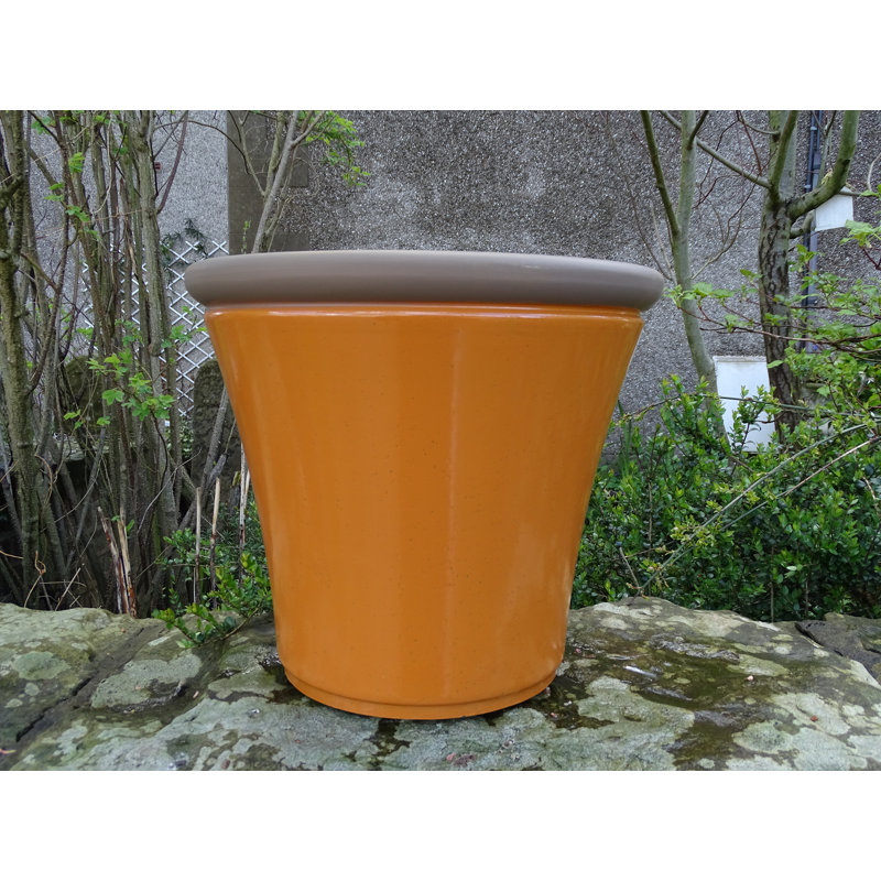 Canady Pot Planter, 34 cm H x 41 cm W x 41 cm D, Amber