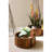 SET OF TWO METAL TOPIARIES WITH RECYCLED WOOD BASES