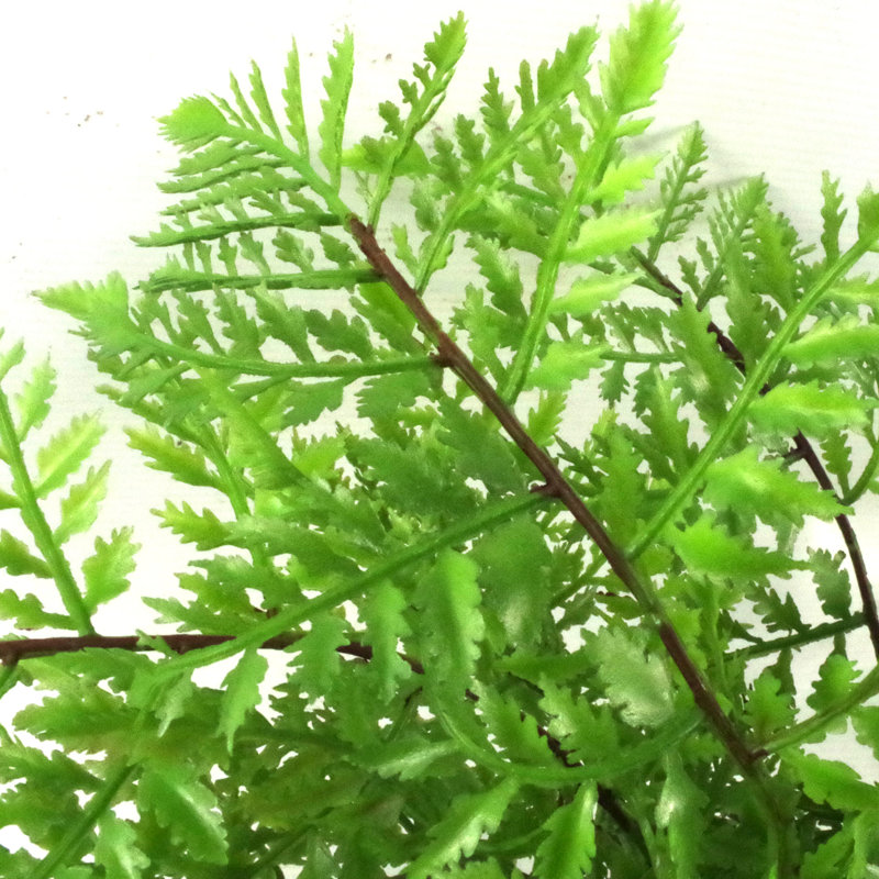 Anjeli 30cm Faux Foliage Plant in Pot