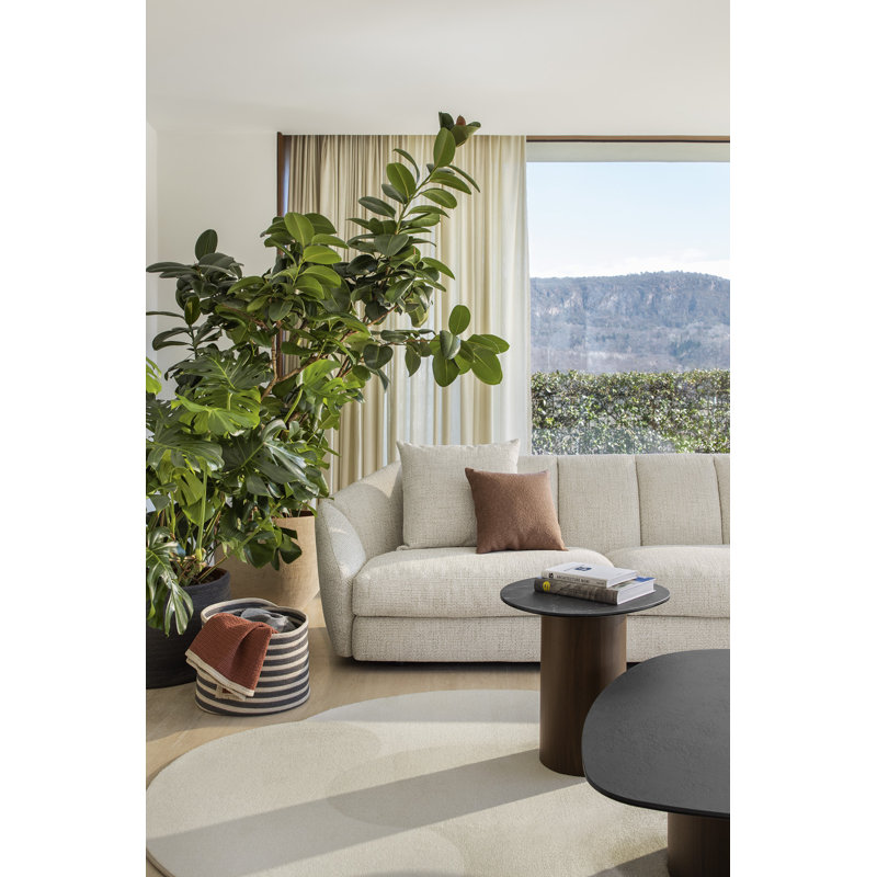 Curved Rugs