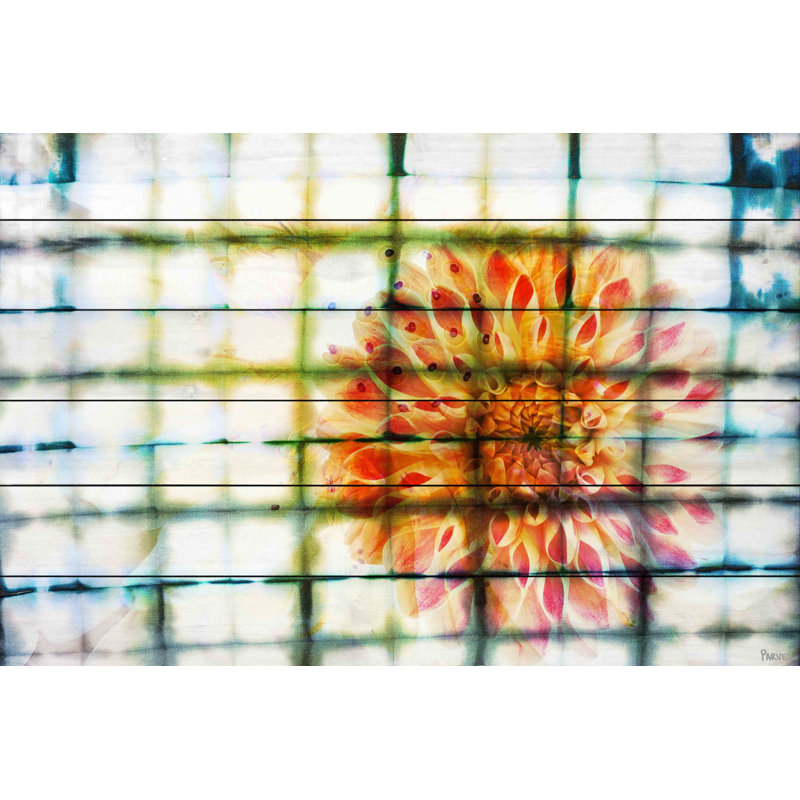«Peacock» par Parvez Taj, reproduction d'art sur bois blanc, H 24 po x l 36 po x P 1,5 po