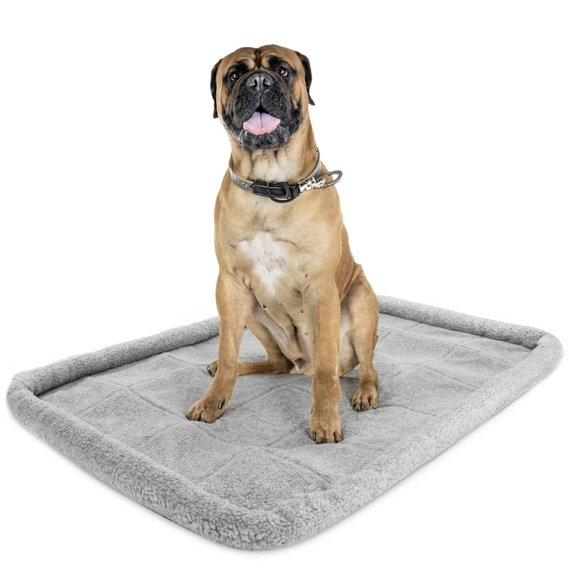 Pet Bed, 6 H x 117 W x 72 D cm