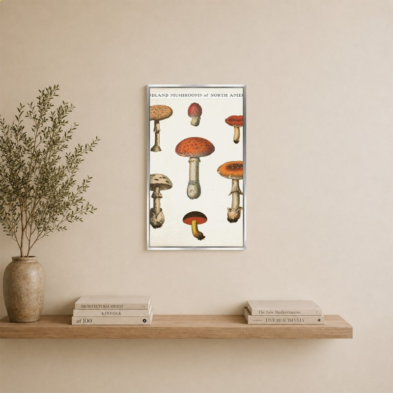 «Mushroom Chart III Light» par Wild Apple Portfolio - impression sur toile, H 34 po x l 24 po, Argent
