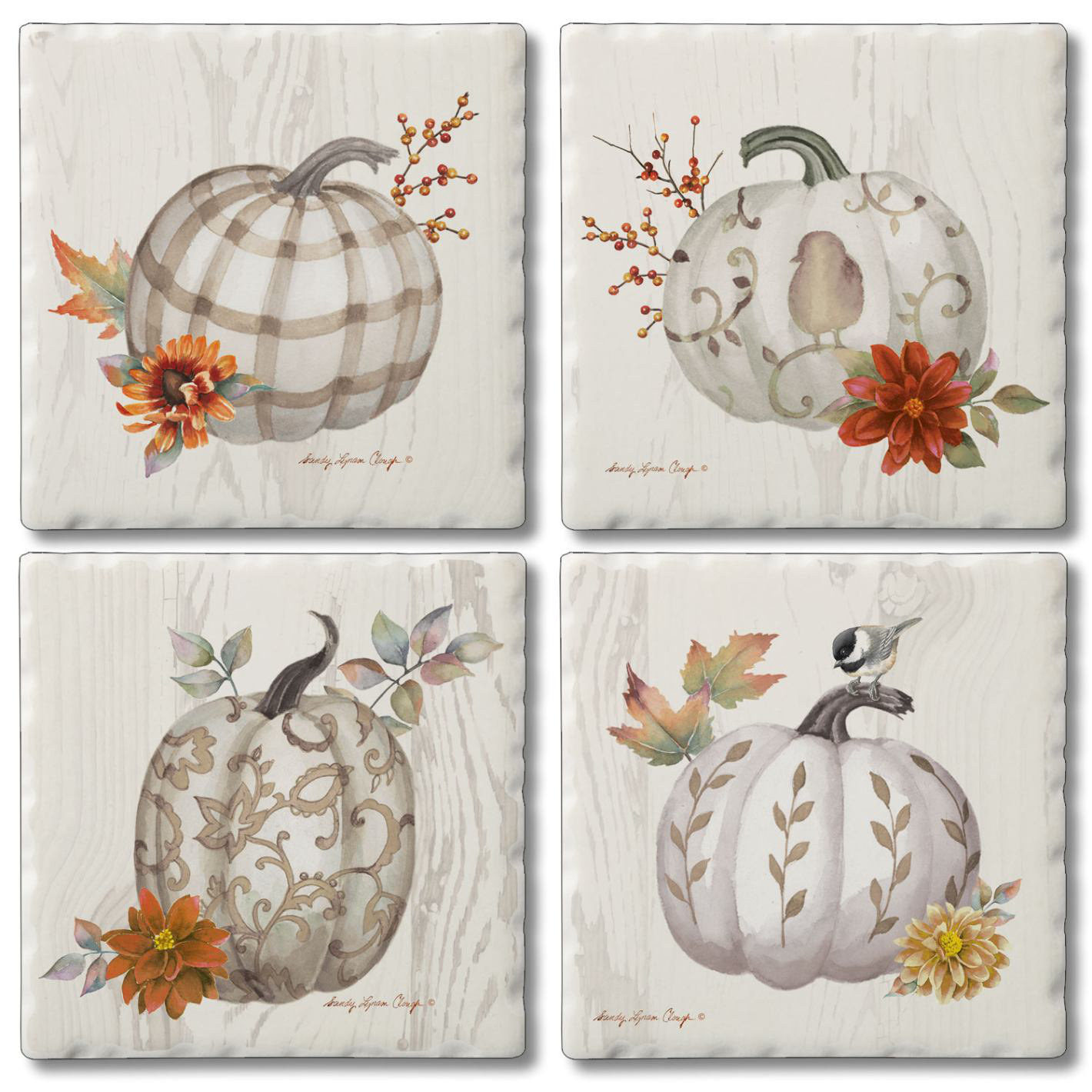 CounterArt Chinoiserie Fall Pumpkins 4 Pack Assorted Image Absorbent Stone Tumbled Tile Coaster | Wayfair