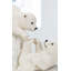 Ours polaires jouant
