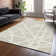Machine Washable Indoor/Outdoor Chayden ACN1040 Rug