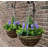 23cm Faux Flowering Topiary in Basket