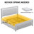 Deovion LED Upholstered 4-Drawer Platform Bed-577989014-585992398