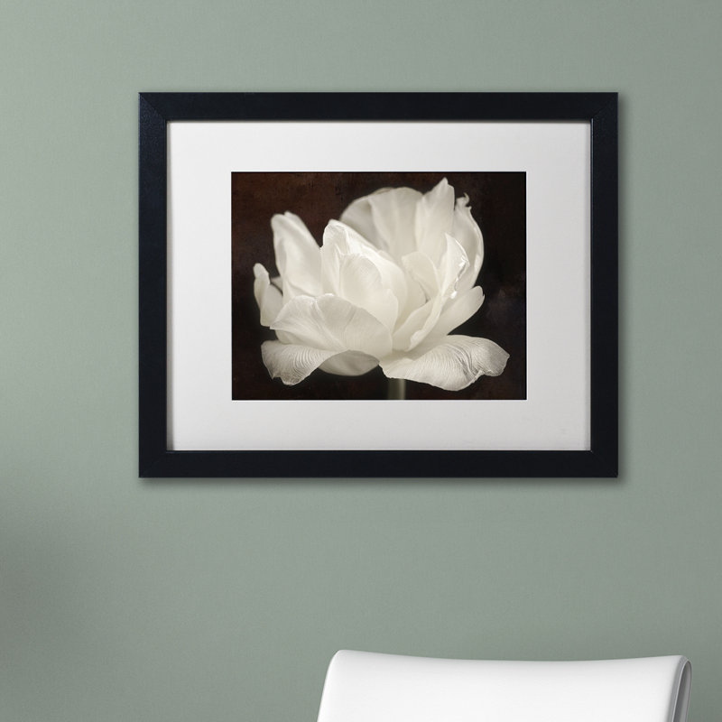 « white tulip iii », reproduction de photo sur toile encadrée, H 11 po x l 14 po x P 0,5 po, Noir